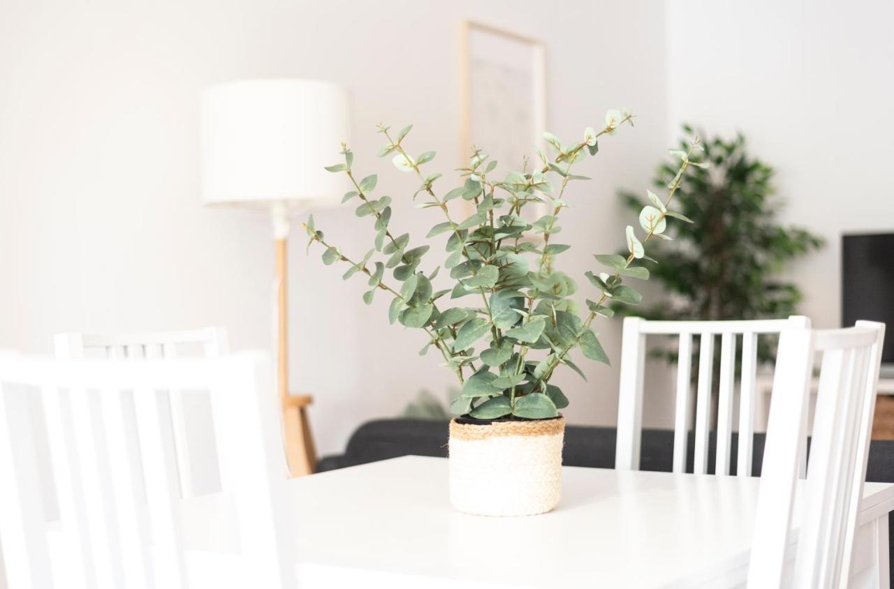 Apartamento Tierra Ferrol Exteriér fotografie